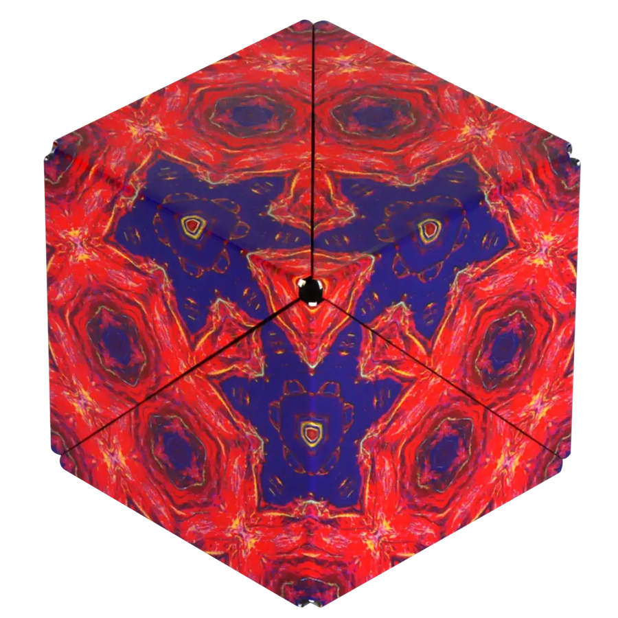 Shashibo R2