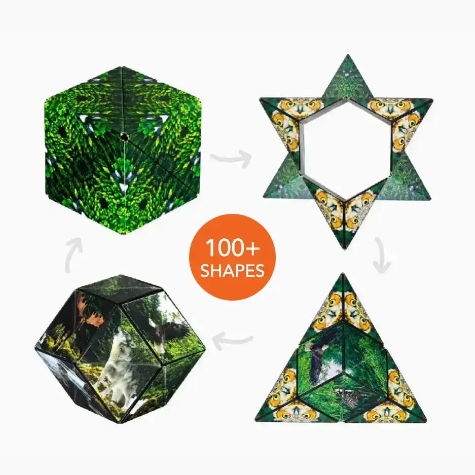 Wild Series E8