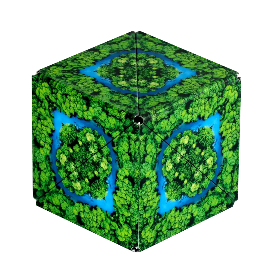 Shashibo R2