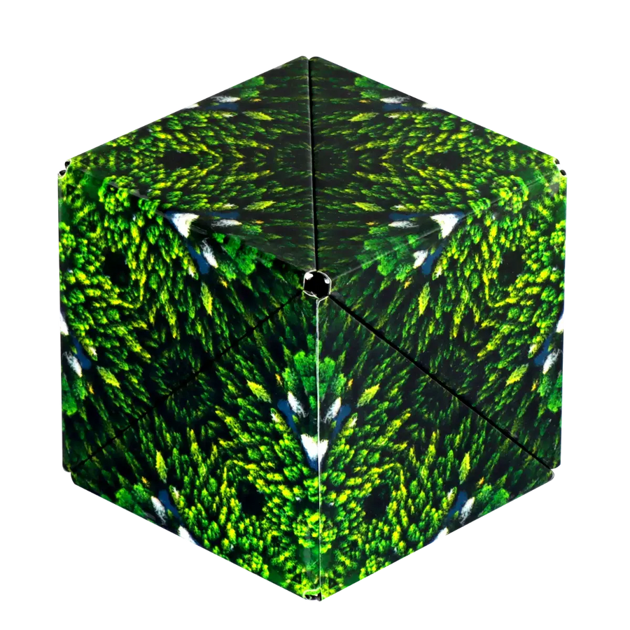 Shashibo R2